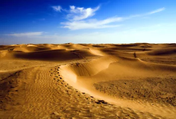 Papier peint photo autocollant rond Sécheresse désert de Douz