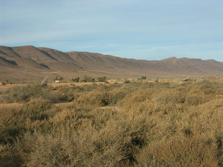paysage de steppes