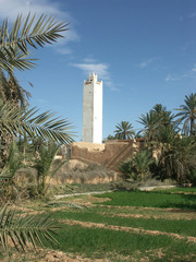 mosquée et cultures
