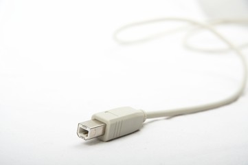 Fototapeta premium usb plug