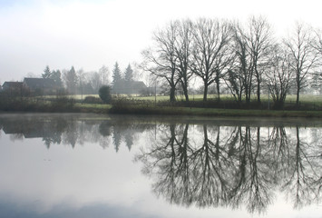 brouillard sur l'étang