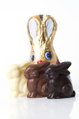 curious chocolate bunny