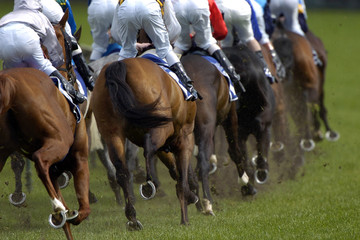 rear racing 03