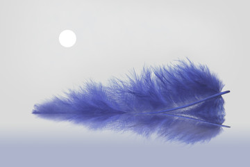 blue feather's moonlight
