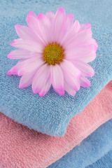 Obraz na płótnie Canvas towels and daisy
