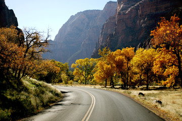 zion national park