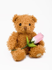brown teddy bear sitting with a pink rose