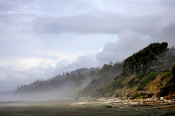 misty beach