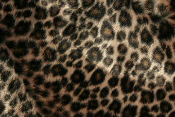 panther pattern
