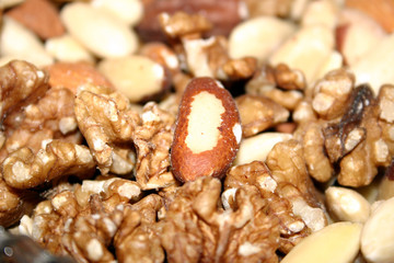 assorted fresh nuts