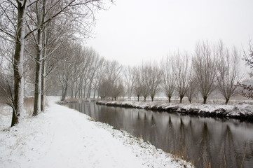 winter landscape