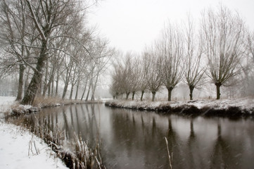 winter landscape