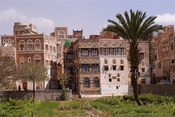 Fototapeta premium palm and old building of sanaa