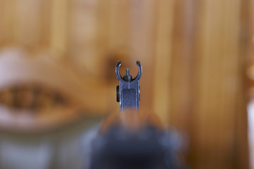 sight