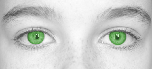 yeux vert