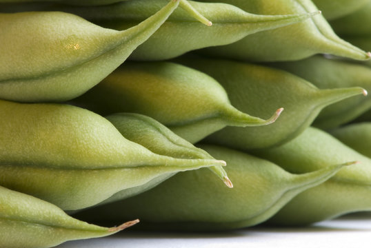 mdg-beans-01