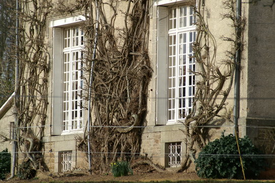 fen&ecirc;tres