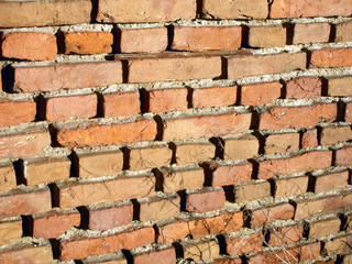 Fototapeta premium ziegelmauer