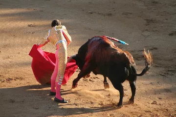 Wall murals Bullfighting olé toro !