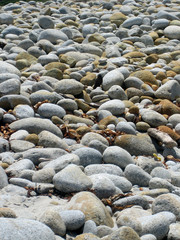 rocks
