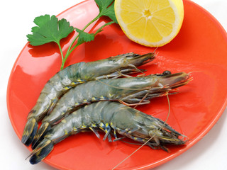gambas 2