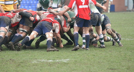 rugby