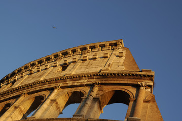 the coliseum