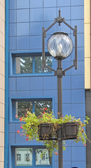 flowers and building