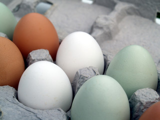 farm fresh eggs in carton