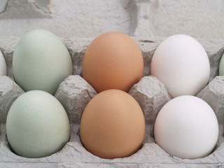 farm fresh eggs in carton