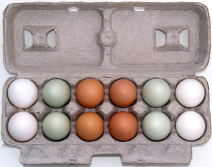 farm fresh eggs in carton