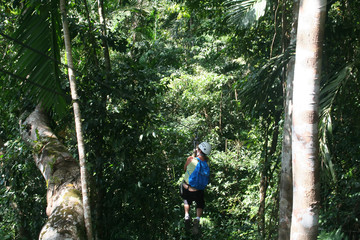 jamaica canopy tour
