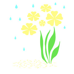 rain on flower garden