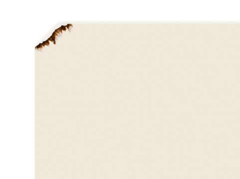 papier br&ucirc;l&eacute;