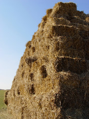 hay stack