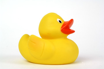 yellow plastic duck
