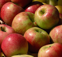 red apples