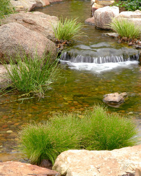 rock garden and stream