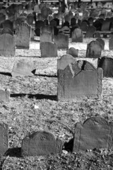 many old graves in bright sunlight