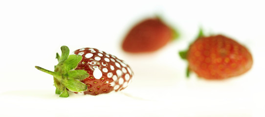 strawberry  and  milk