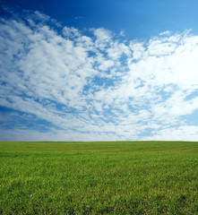 wheat field over beautiful sky 1