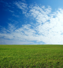 wheat field over beautiful sky 2