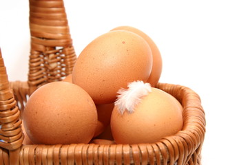 eggs in a basket