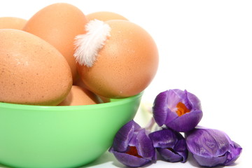 eggs, flowers and feather