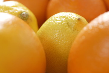 orangen und zitronen
