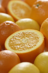 orangen und zitronen