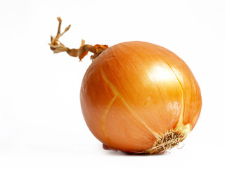 onion isolated on white background
