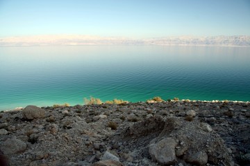 dead sea shore