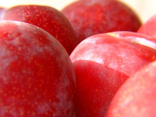 plums 5
