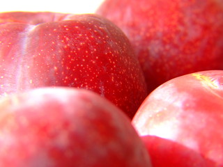 plums 1